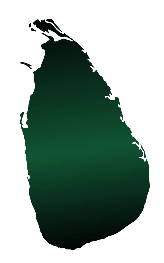 Map.webp